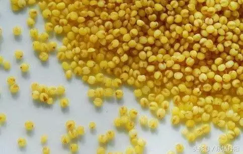 小米粥營養足,很多人熬錯了,關鍵就在第一步,錯了難喝還沒營養