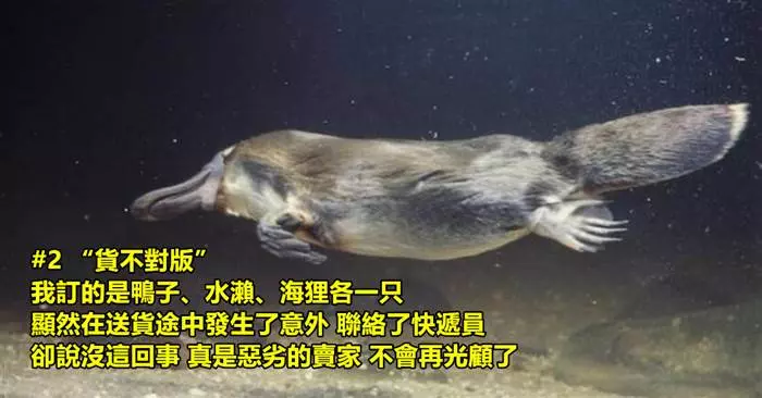 波特蘭動物園發起超幽默「動物網購式評論」沒想到下一秒在推特掀起一股玩風!