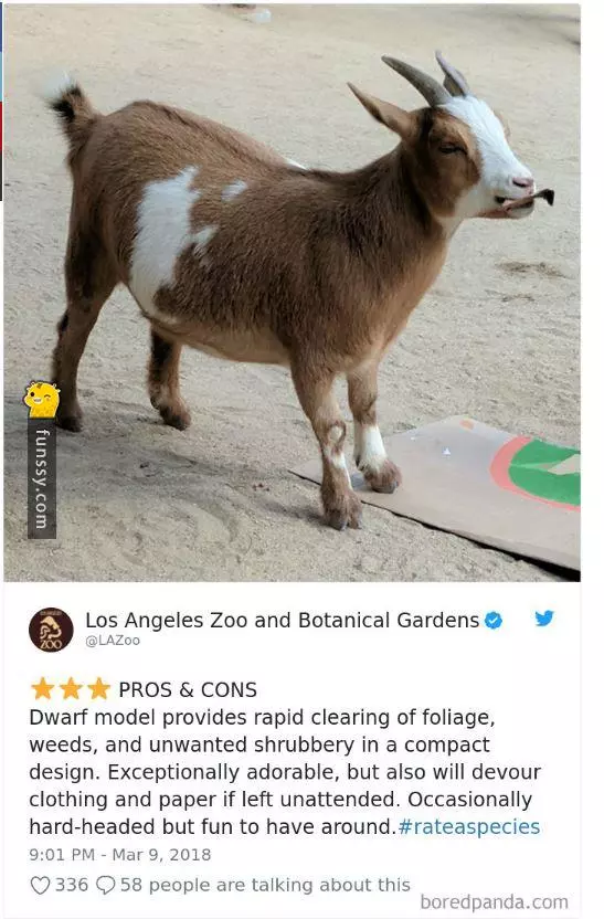 波特蘭動物園發起超幽默「動物網購式評論」沒想到下一秒在推特掀起一股玩風!