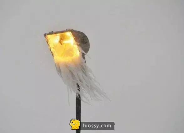 24張讓你感受到世界無奇不有的「超驚奇照片」!