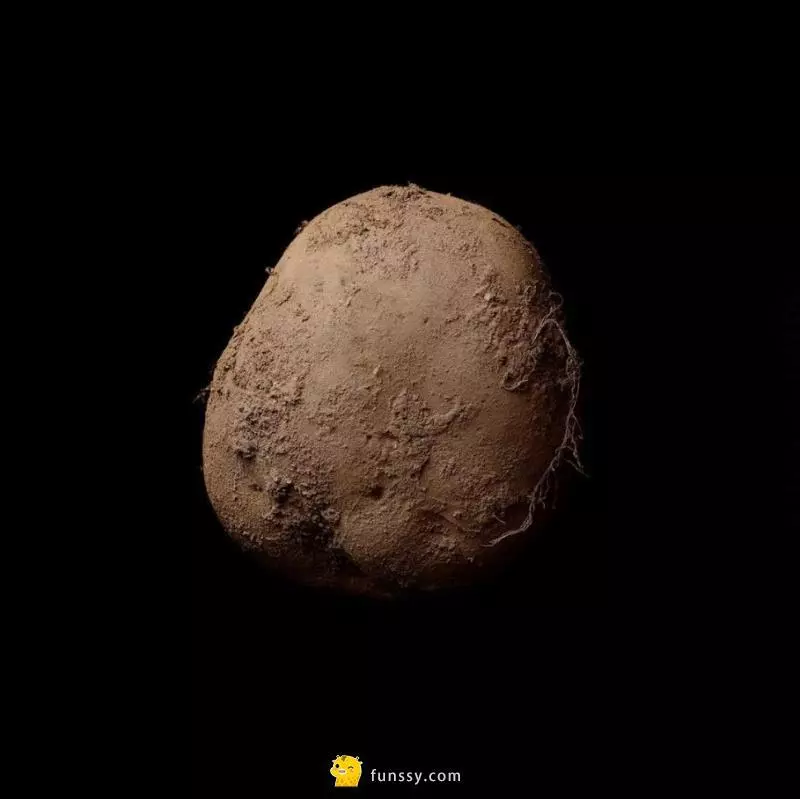 盤點5個只是抱著好玩 丟在網上賣 結果就被賣到「超瘋狂價錢的商品」