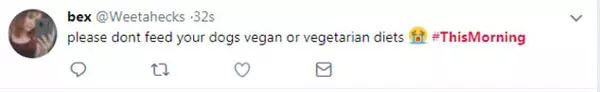 當場打臉?英女子長期喂狗吃素 節目上狗狗選了肉