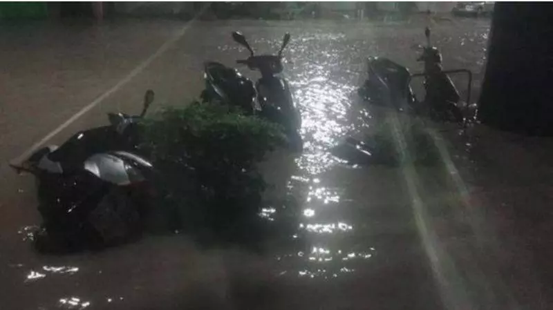 半夜暴雨狂炸!高雄市民不敢睡怒喊「市長快起床!」