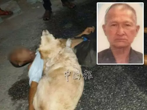 與鄰人因狗糞爭執老漢被襲丟命