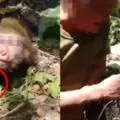轎車失控撞樹再墜溝,整輛車毀不成形!4好同事3死1傷!