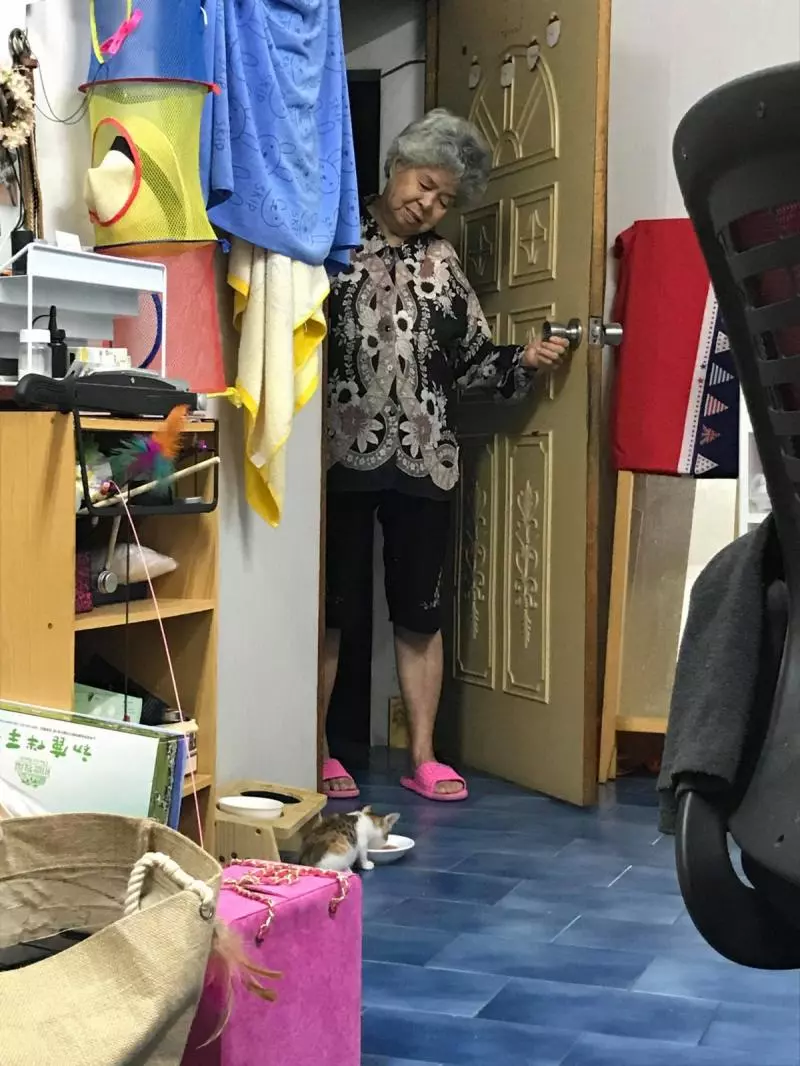 敢養就抓來摔！阿公「被貓收服」反差太大　「祖孫腳趾運動」笑呵呵：好不好玩啊～
