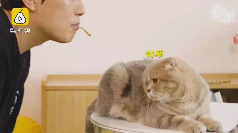 討打是不是~奴才「嘴對嘴」喂零食 主子一秒甩頭冷眼:朕不做蠢事!