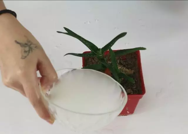 每次煮飯都要留下一碗水,原來有這麼多的好處,既省錢又實用