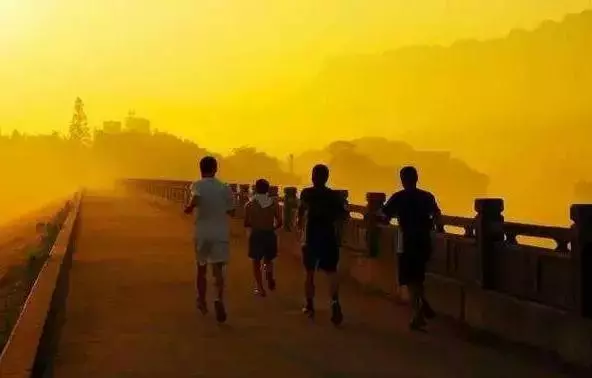 免疫力好才不生病!提升免疫力的好方法,沒想到竟然這麼簡單