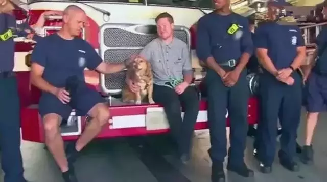 狗狗被困12年,臨終前獲得了自由,滿足所有心愿後安然離世!