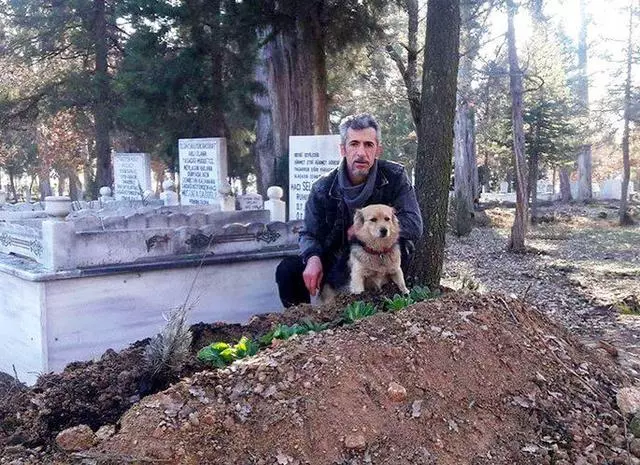 狗狗每天趁主人上班偷溜出門,主人跟蹤後發現超暖真相忍不住落淚