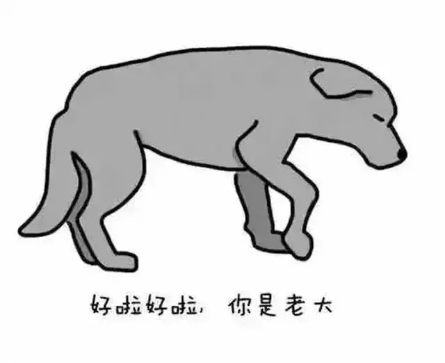 你也許不知道,狗狗咬尾巴,是在告訴鏟屎官這六件事
