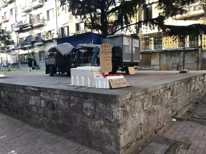 興工北六街居民樓貼出「通緝令」!狗主人攜屍通緝下毒者