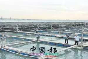 天理難容!道德敗壞!孫女、曾孫女、繼女聯手搶劫年邁女至親