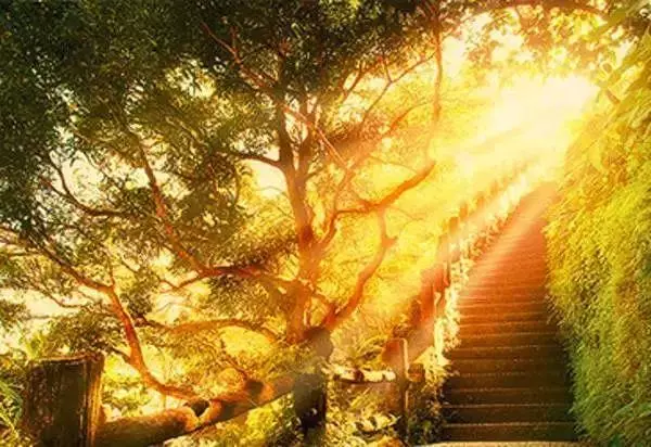 能控制早晨的人,方可控制人生!你卻把它交給了床,難怪活得難~