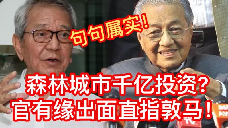 森林城市發展計劃總投資1000億美元?!官有緣出面直指敦馬!句句屬實!