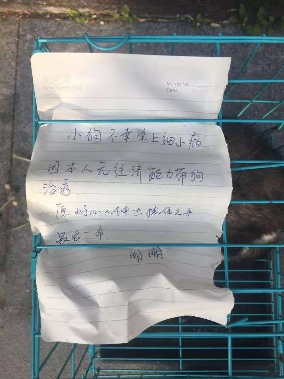 路邊看到一隻被遺棄的狗狗,主人留下的字條讓我鼻子一酸:我一定要領養牠