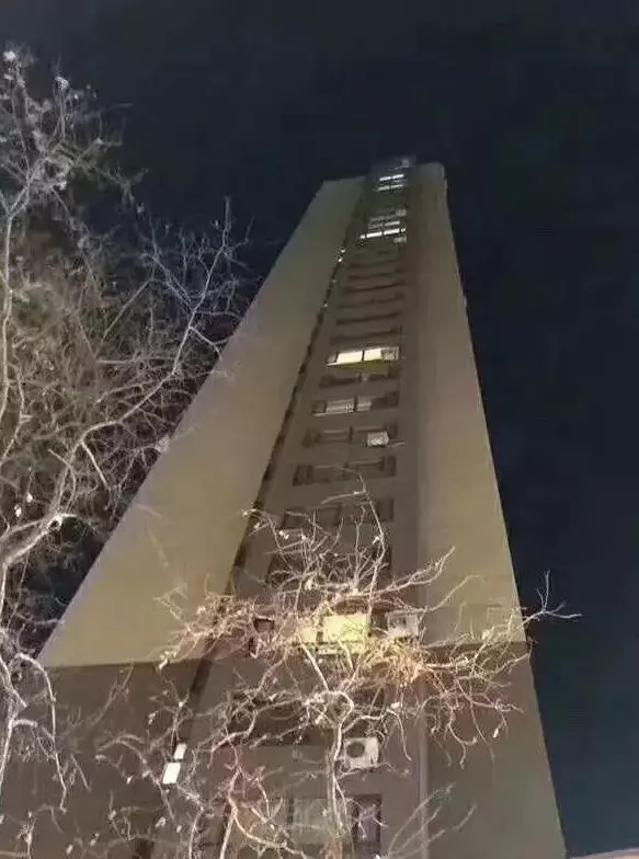 法鬥被主人從高樓上扔了下來,砸碎汽車前玻璃,嚴寒之中含恨而去,死時眼睛瞪大!