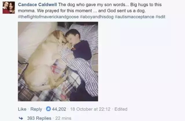 狗狗和兒子的一個舉動,讓媽媽哭得死去活來,背後的原因讓人淚奔!