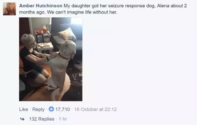 狗狗和兒子的一個舉動,讓媽媽哭得死去活來,背後的原因讓人淚奔!
