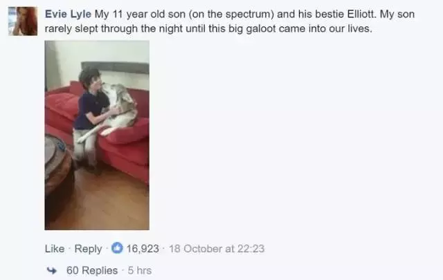 狗狗和兒子的一個舉動,讓媽媽哭得死去活來,背後的原因讓人淚奔!