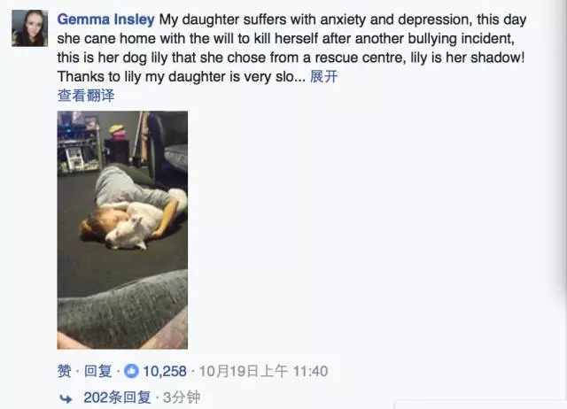 狗狗和兒子的一個舉動,讓媽媽哭得死去活來,背後的原因讓人淚奔!