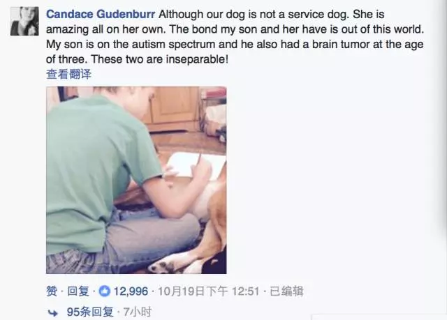 狗狗和兒子的一個舉動,讓媽媽哭得死去活來,背後的原因讓人淚奔!