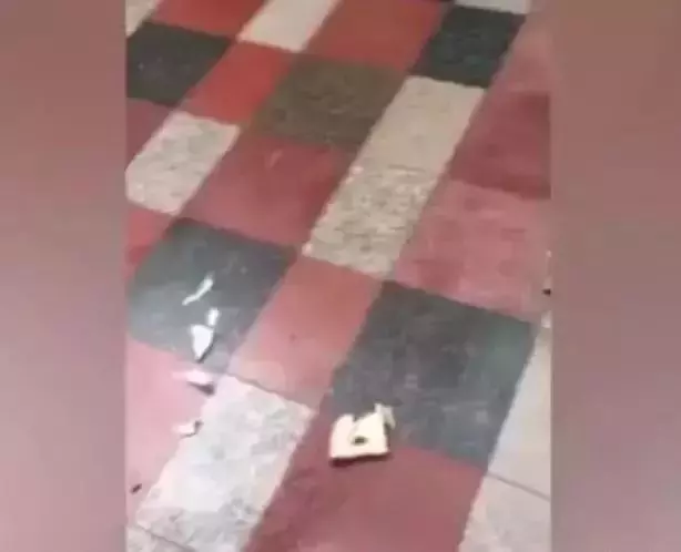 哈士奇半夜偷麵包,二哈成功殺死自己,主人發現時一切都已經晚了