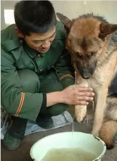 主人求你留下來好嗎?我這輩子只認你一個主人!