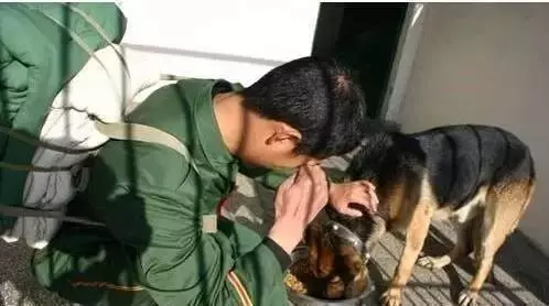 主人求你留下來好嗎?我這輩子只認你一個主人!