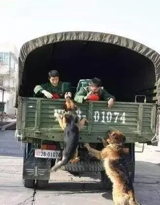 主人求你留下來好嗎?我這輩子只認你一個主人!