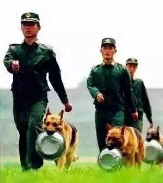 主人求你留下來好嗎?我這輩子只認你一個主人!