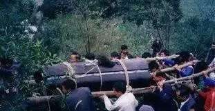 少女采蘑菇慘死,出殯時家裡黃狗狂叫,撞死棺材上,才知真相