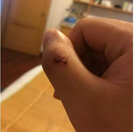 狗狗剛生孩子,看到小主人被人弄哭就去咬,結果被主人冤枉暴打