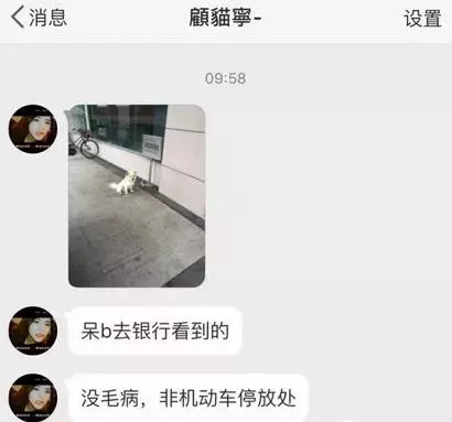 去銀行看到一隻狗被拴在牌子上,再一看上面的字……沒毛病