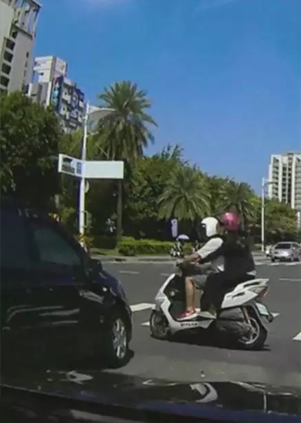 載妹智商歸零… 三寶「高雄自殺式左轉」!3秒同步飛空 網狂重播:超療癒(圖+影) 複