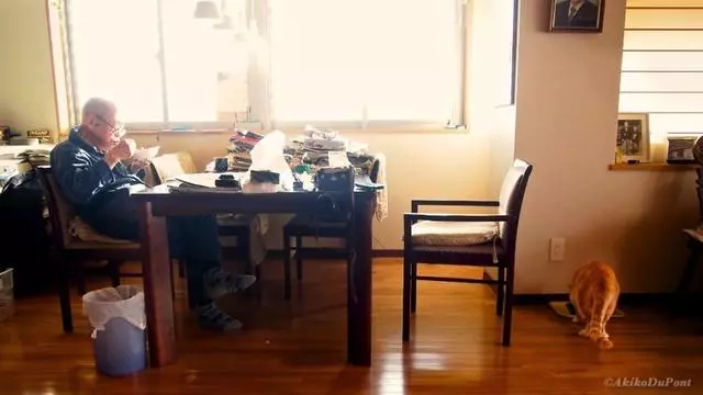 他給生病後脾氣暴躁的爺爺帶來一隻貓,結果爺爺性格大變讓人暖哭