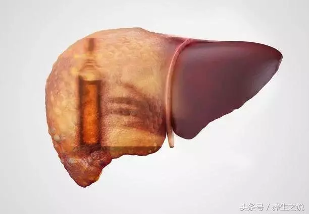 一頓二兩白酒,一天兩頓,對身體有什麼好處?