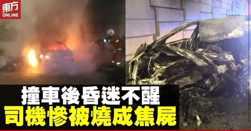 轎車撞後起火 司機逃生不及燒死 -