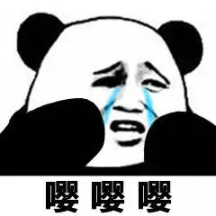 國外這些度假勝地,能對狗狗友善到什麼程度?簡直難以想像…