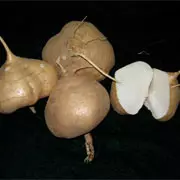 很多人想要的食譜----魚頭米粉