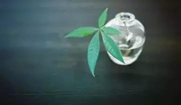 人到中年,因果交換! 「報應」只會報在自己身上!