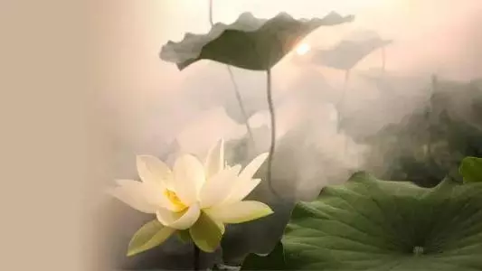 人到中年,因果交換! 「報應」只會報在自己身上!