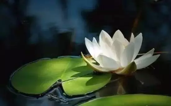 你積的陰德厚不厚?從面相可以看出來 !