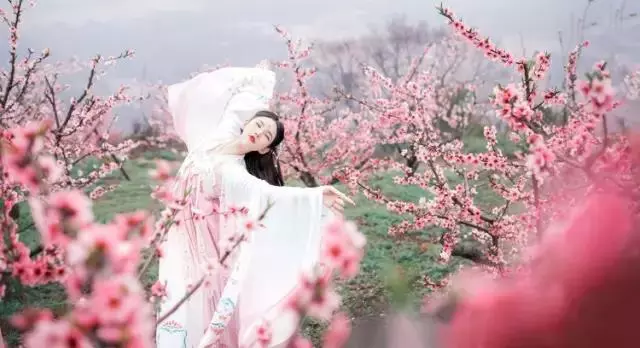 德不配位,必有災殃(靜下心讀一遍)