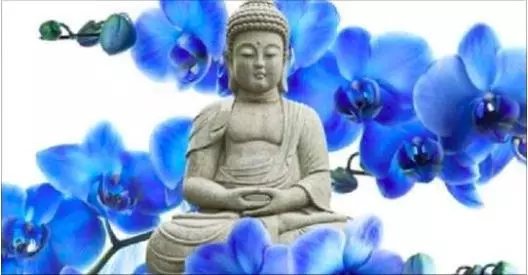 世上最有福報的人原來是這樣子的,快來看看你是嗎?
