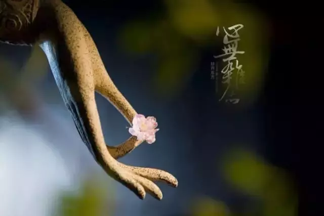百病不生的十二種藥,適用於每個人!