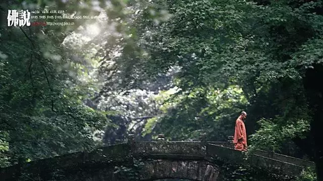 佛祖只用了這9句話,就破解了天下所有的難題!