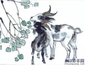 屬猴,虎,羊的人,9月有一難!請為他們轉一下,積德積福!