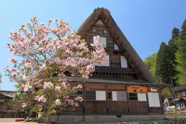 入住日本世界遺產!白川鄉・五箇山合掌集落住宿10選【含2019點燈活動資訊整理】